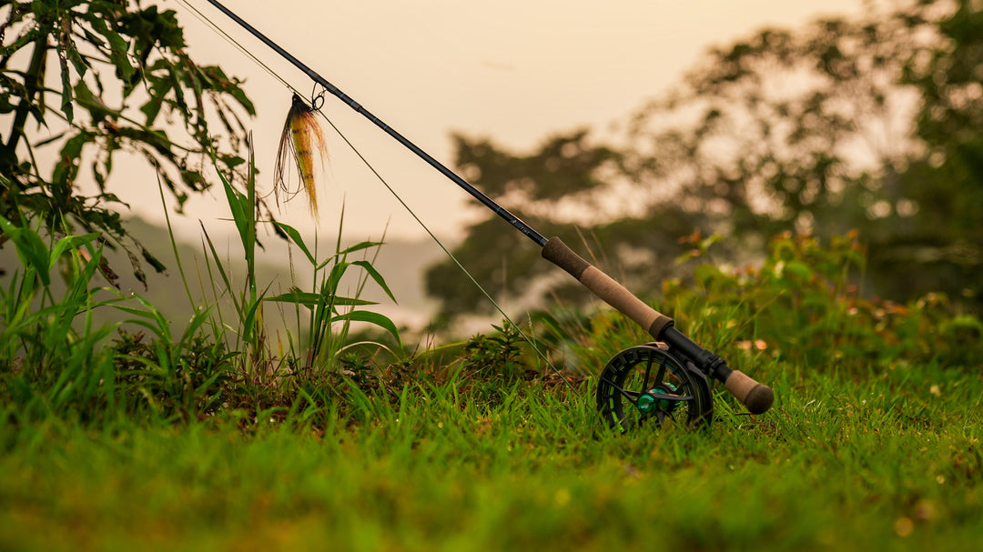 Thomas &amp; Thomas Exocett 88 Fly Rods