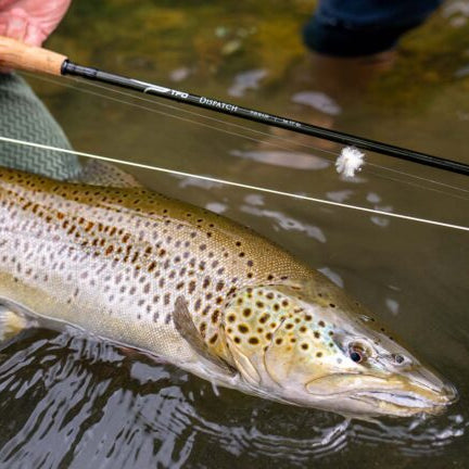 Temple Fork Outfitters Dispatch Fly Rod Kit