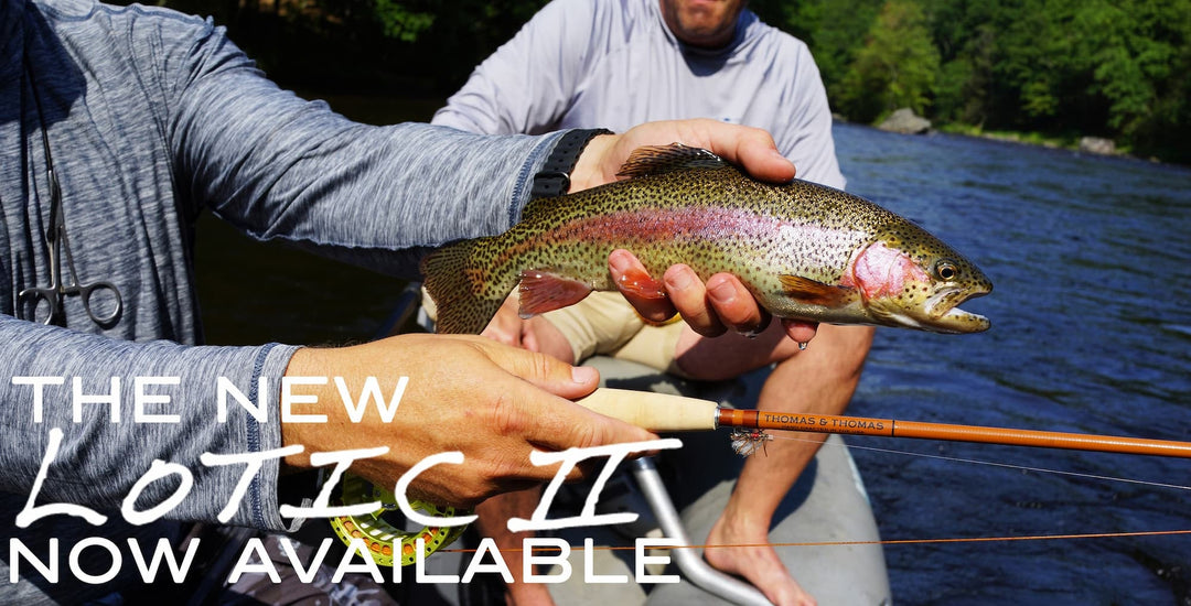 Thomas &amp; Thomas Lotic II 2 Freshwater Fly Rods
