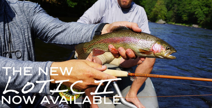 Thomas &amp; Thomas Lotic II 2 Freshwater Fly Rods