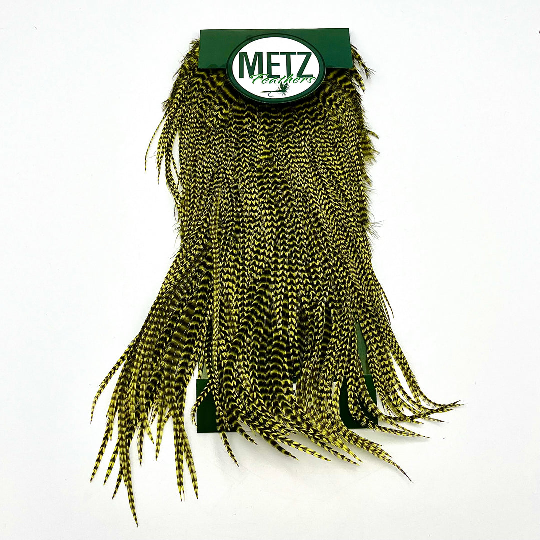 Metz Magnum Saddles #1