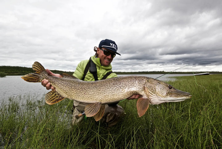 Thomas and Thomas Exocett Predator fly rod