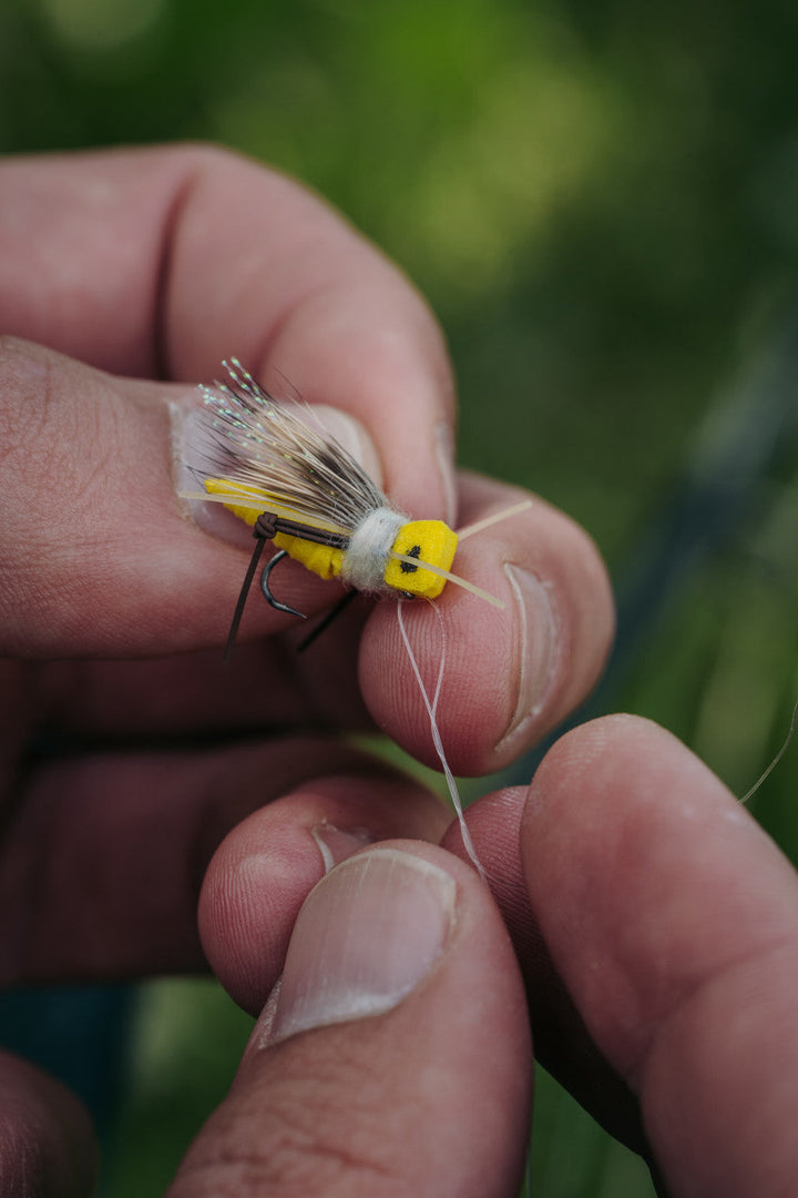 Umpqua Perform X HOPPER Leaders