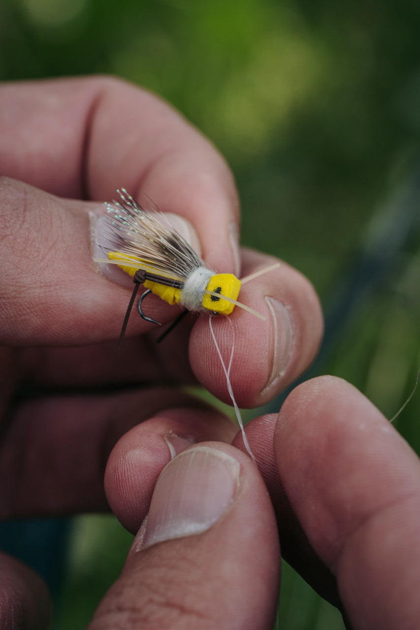 Umpqua Pint Hopper in Yellow - New!