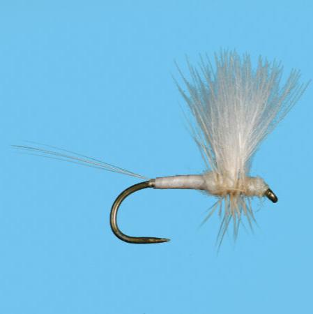 Solitude CDC Thorax Light Cahill