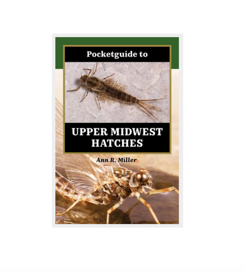 Pocket Guide to Upper Midwest Hatches