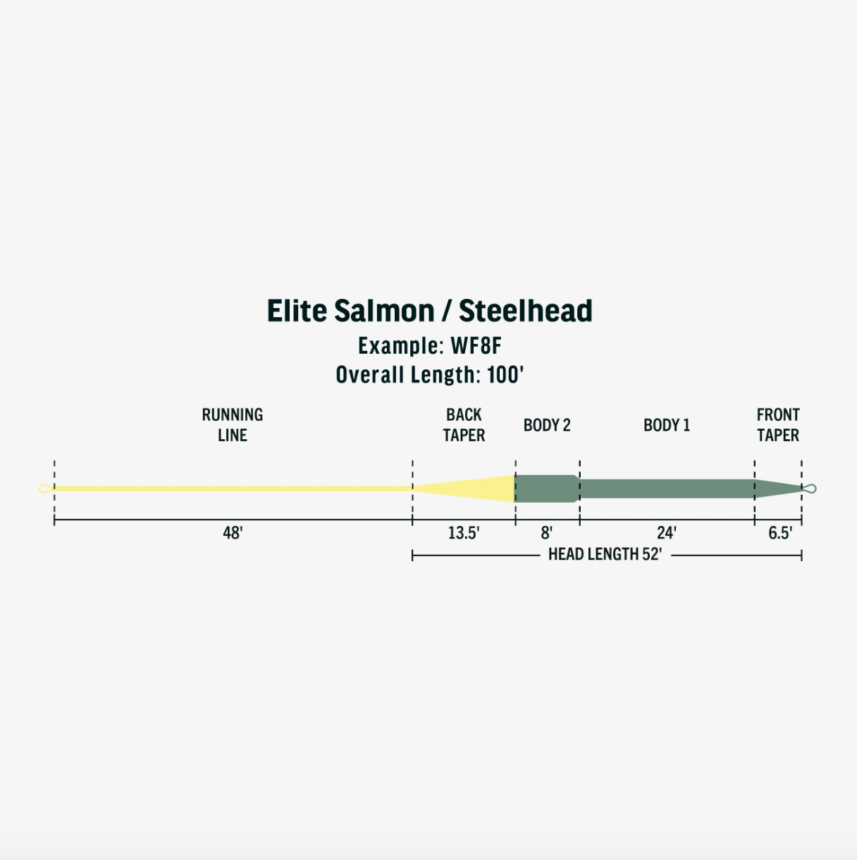 Línea de mosca Rio Elite salmón/steelhead