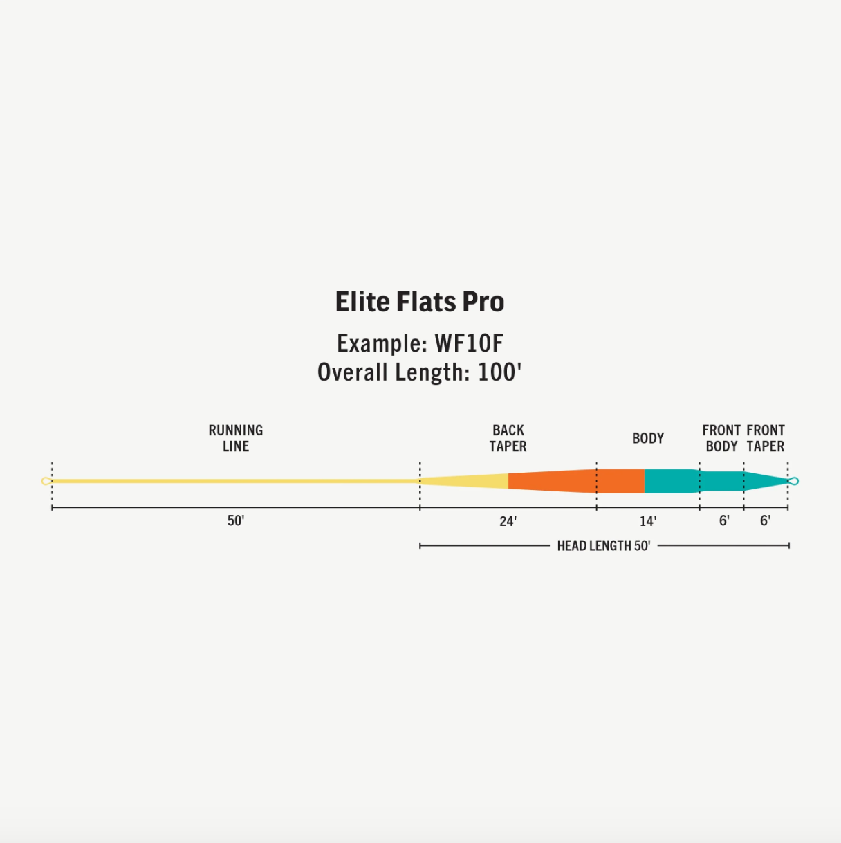 Línea de vuelo Rio Elite Flats Pro