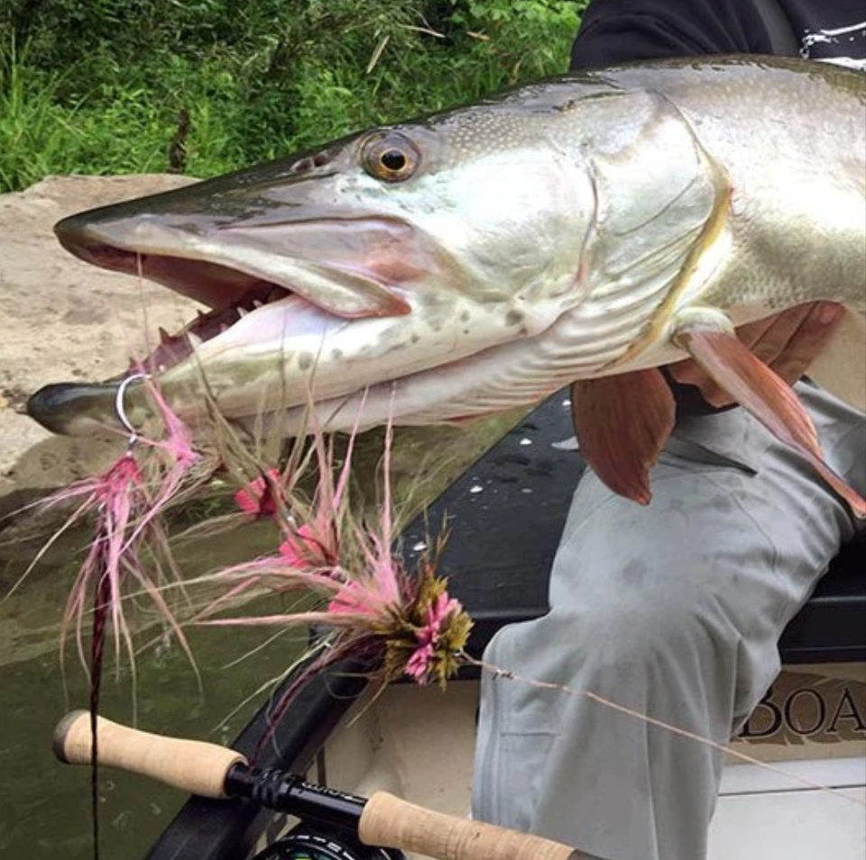 Fish Skull Chocklett's Body Tubing