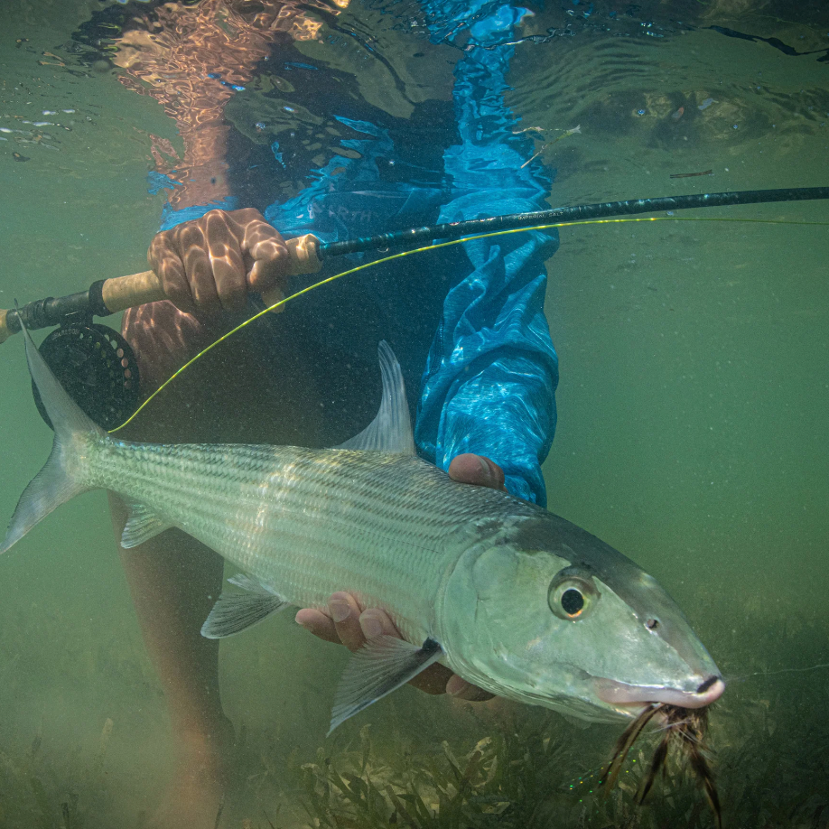 St. Croix Imperial Salt Fly Rod