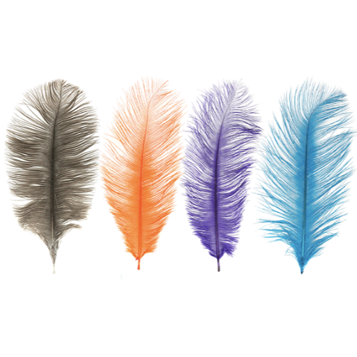 MFC Ostrich Plume