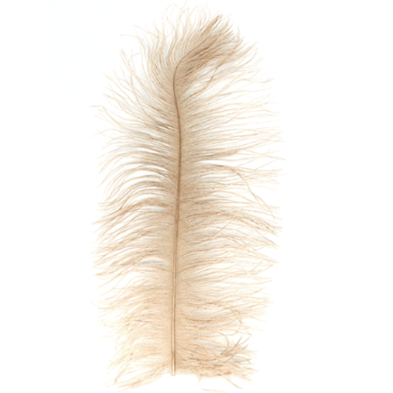 MFC Ostrich Plume