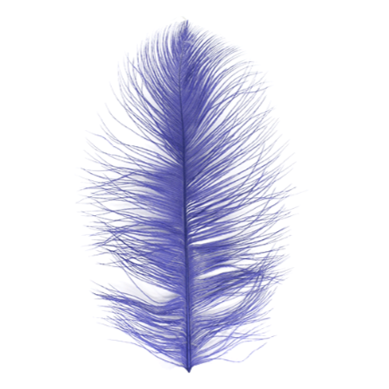 MFC Ostrich Plume