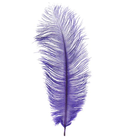 MFC Ostrich Plume