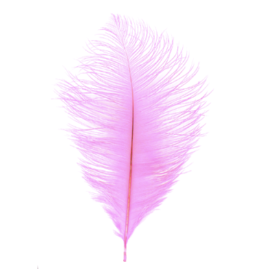 MFC Ostrich Plume