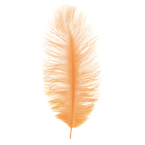 MFC Ostrich Plume