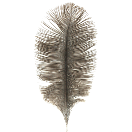 MFC Ostrich Plume