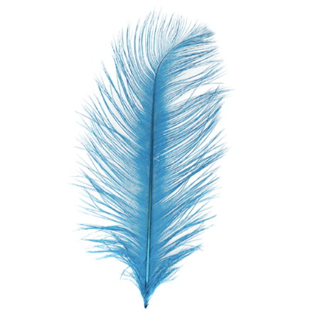 MFC Ostrich Plume