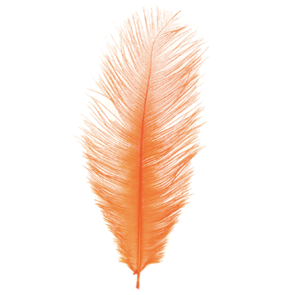 MFC Ostrich Plume