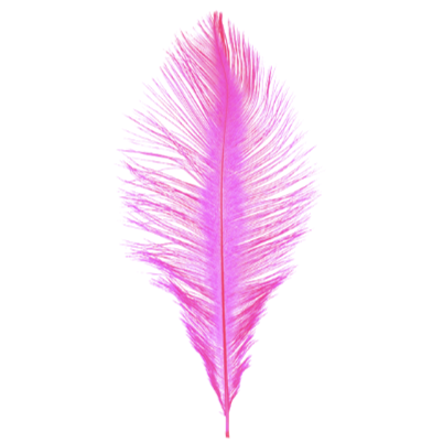 MFC Ostrich Plume