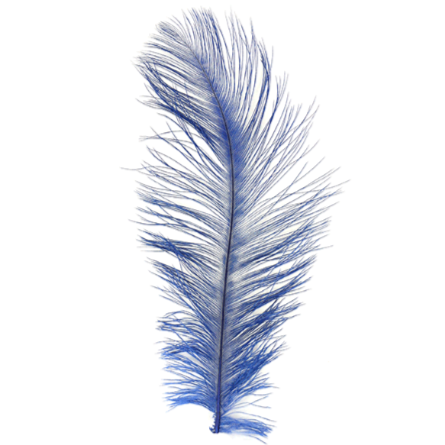 MFC Ostrich Plume