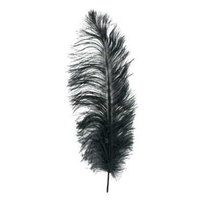 MFC Ostrich Plume