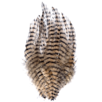 MFC Barred Saddle Hackle