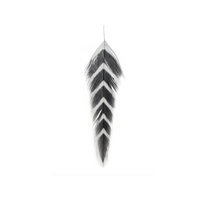 MFC Galloup's Arrowhead Fish Feathers