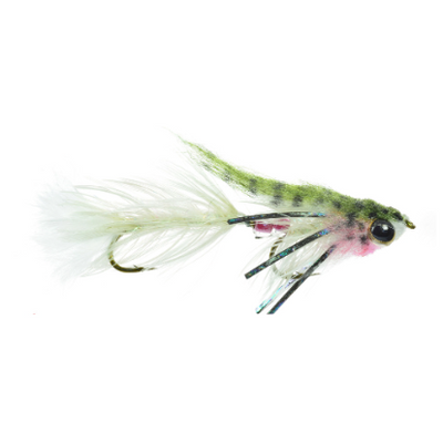 Umpqua Baby Gonga Fly