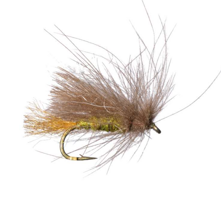 Umpqua Corn-Fed Caddis (CDC)