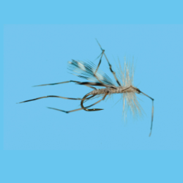 Solitude Crane Fly