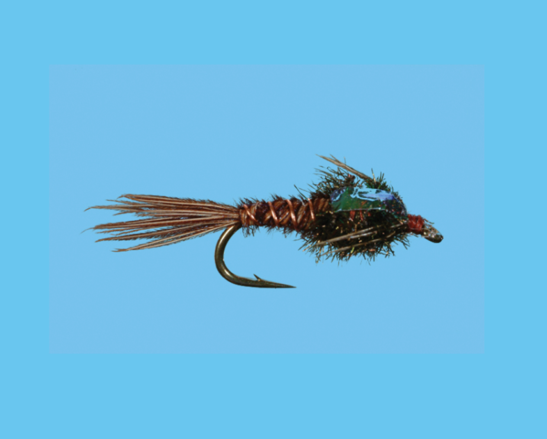 Solitude Pheasant Tail Flash Back