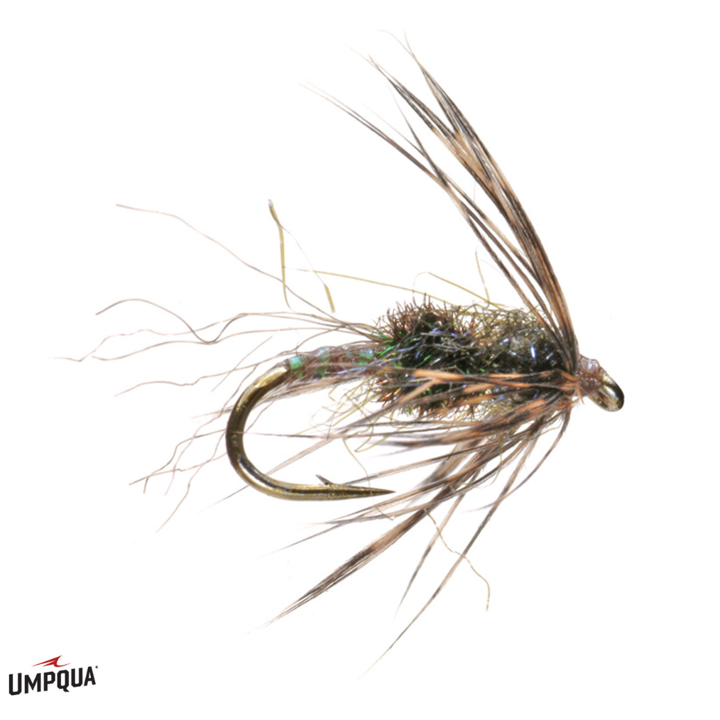 Umpqua Tungsten Swing Nymph
