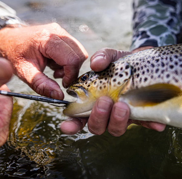St. Croix Technica Fly Rod