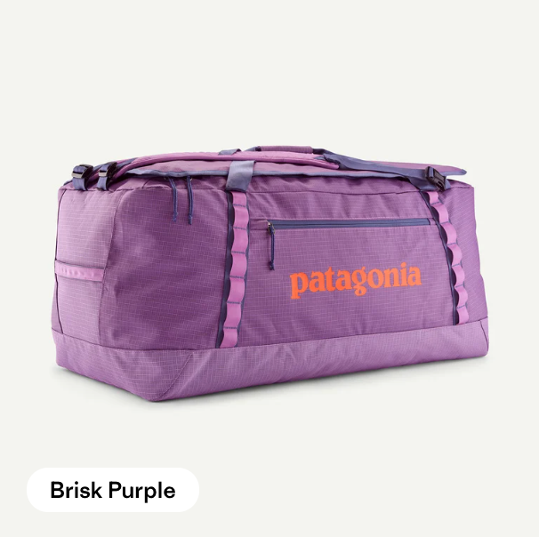 Patagonia Black Hole Duffel 100L