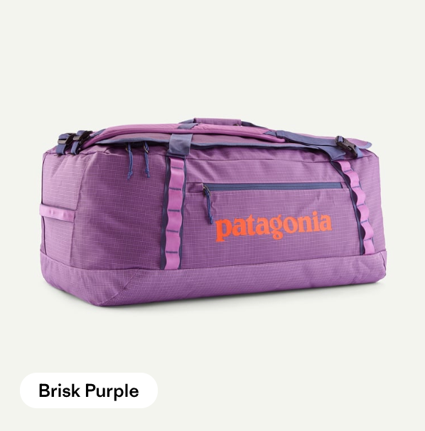 Patagonia Black Hole Duffel 70L