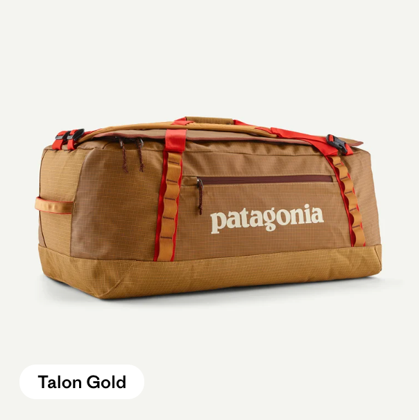 Patagonia Black Hole Duffel 70L