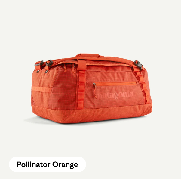 Patagonia Black Hole Duffel 40L