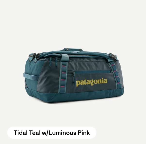 Patagonia Black Hole Duffel 40L