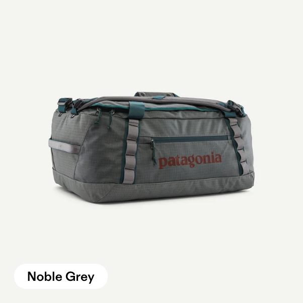 Patagonia Black Hole Duffel 40L