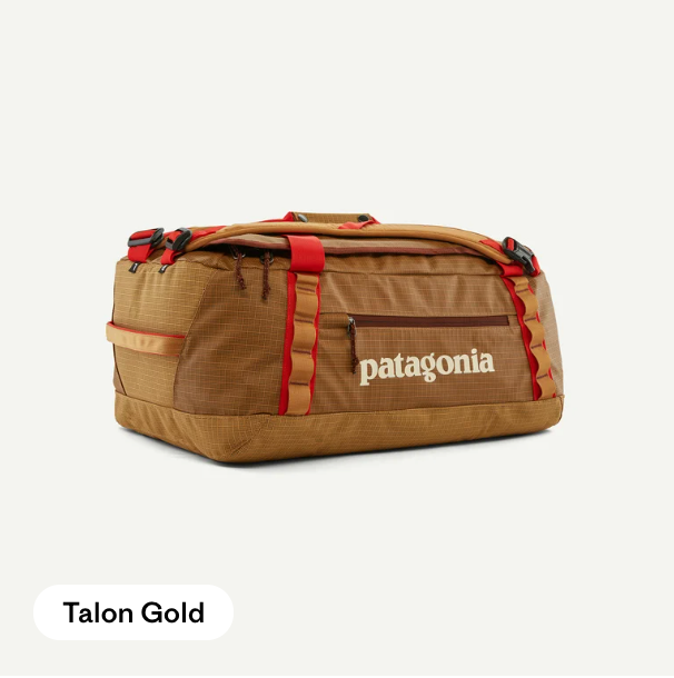 Patagonia Black Hole Duffel 40L
