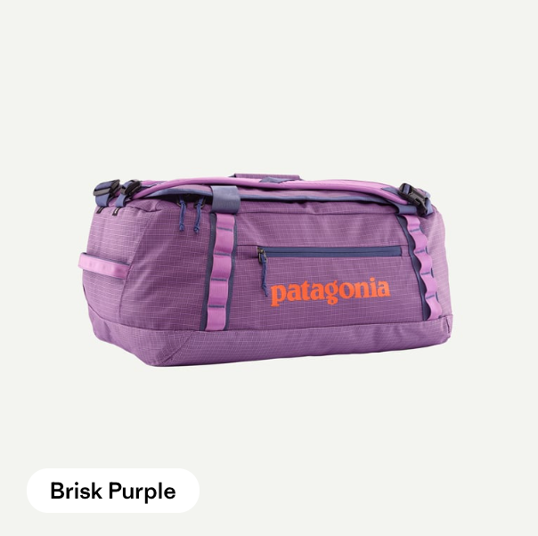 Patagonia Black Hole Duffel 40L