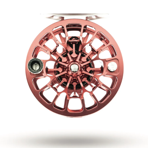 Ross Animas Reel
