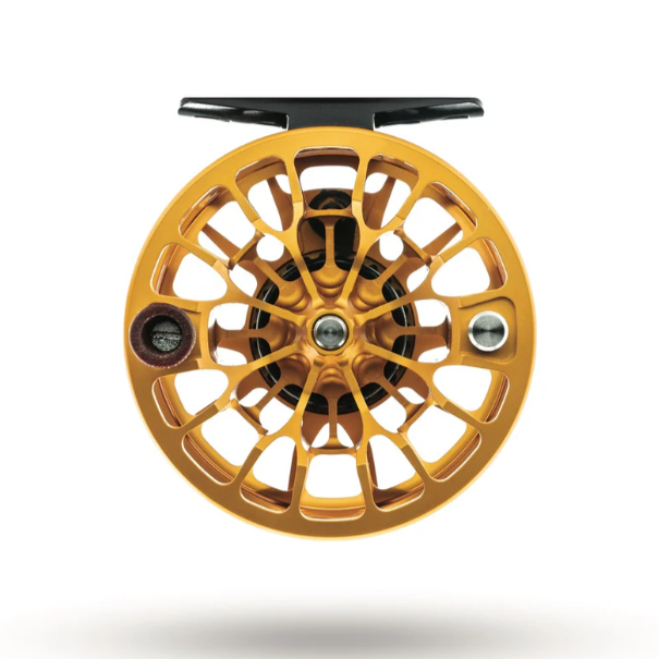 Ross Animas Reel