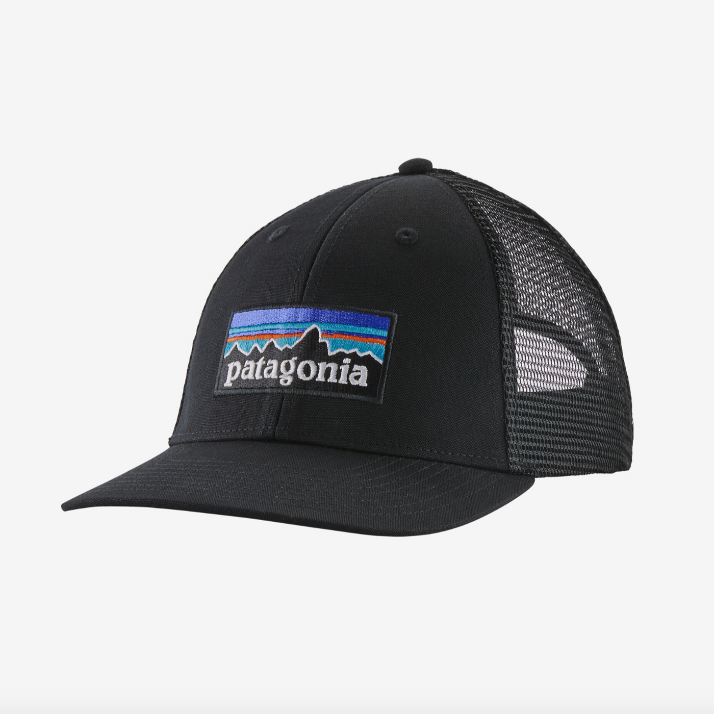 Patagonia P-6 Logo LoPro Trucker Hat