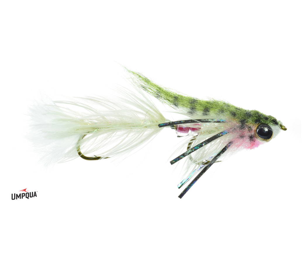 Umpqua Baby Gonga Fly