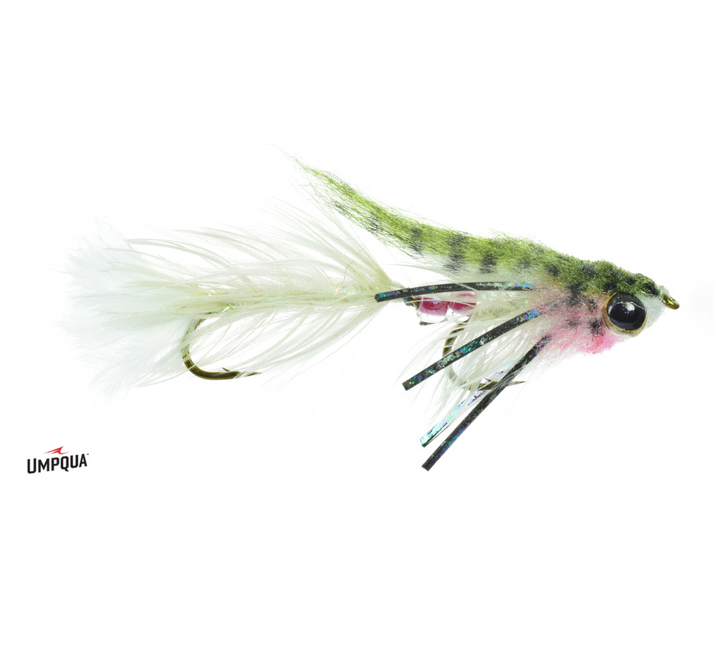 Umpqua Baby Gonga Fly