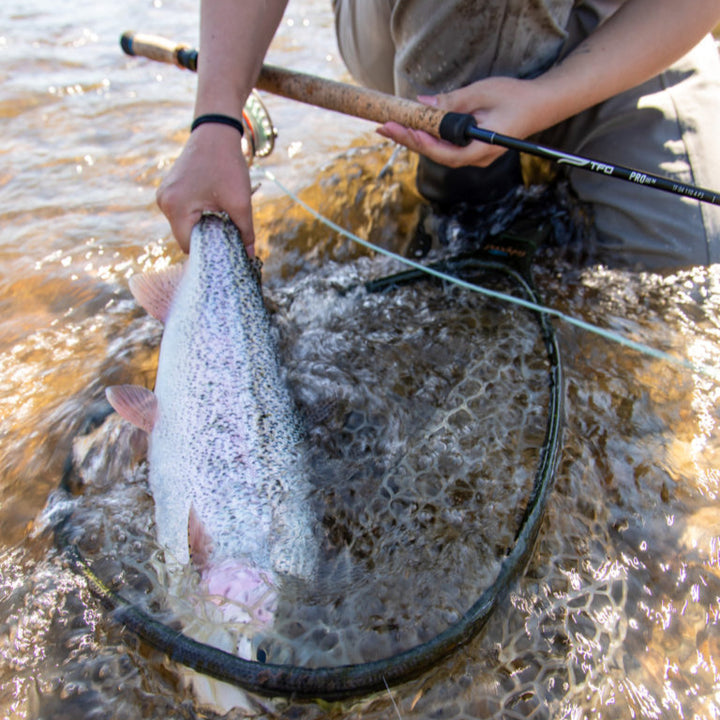 Temple Fork Outfitters Pro III Two Handed Fly Rod