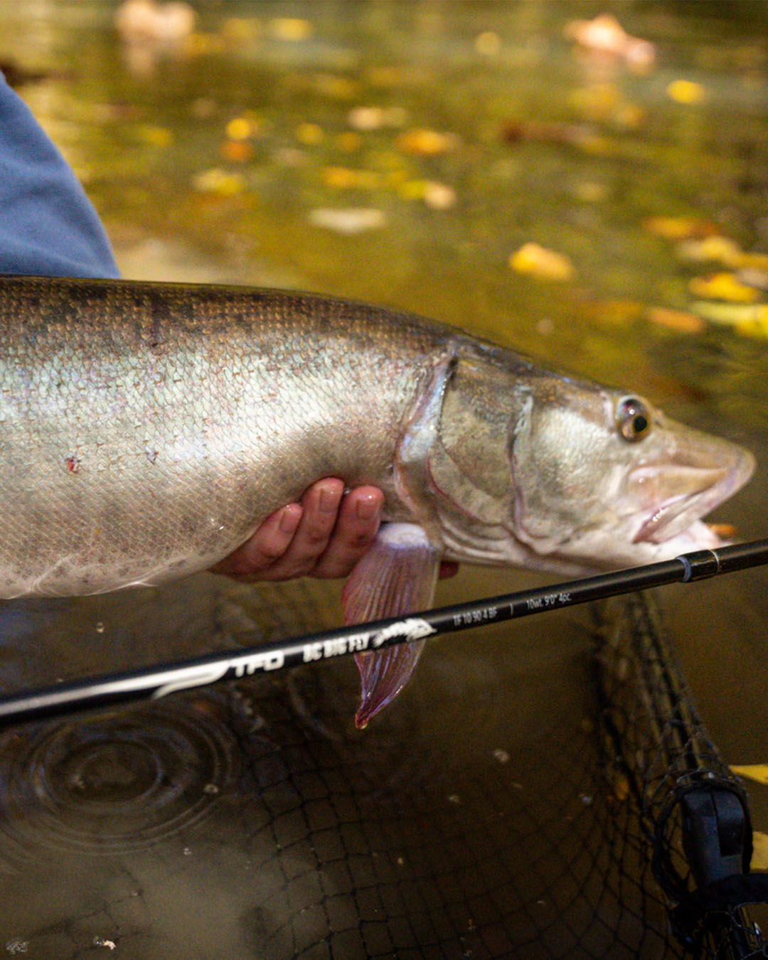 TFO BC BIG FLY - Big Game Fly Rods