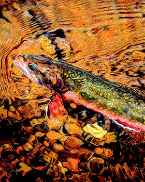 Trout Season is HERE!